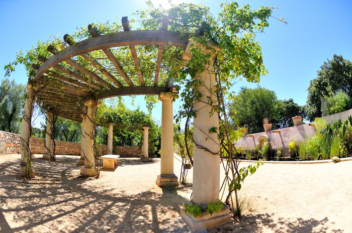 Jardin Antique Méditerranéen