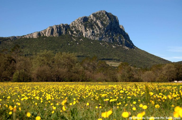 Vue sur le Pic Saint Loup près de Sète